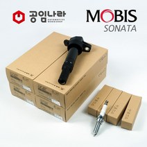 LF쏘나타/뉴라이즈 가솔린 점화플러그 코일 1대분 세트 18846-11070 27300-2E000 공임나라 제휴, 가솔린차량-LF쏘나타/뉴라이즈 공용