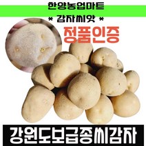 씨감자-수미 대서 두백 20kg 10kg 4kg 정품 인증 도장 필수 강원도고랭지 보급종 씨감자 종자, 오대산-수미4kg(반찬용씨감자)