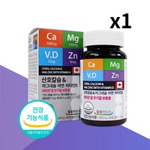 산호칼슘 산화마그네슘 비소성 칼슘영양제, 1개