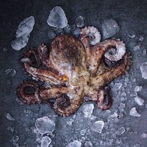 아주부 통영 돌문어 남해안 자연산 문어 700g 1kg 3kg 5kg, 일반 (3~9미 내외) 3kg
