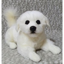 [실물같은 강아지 인형] 말티즈