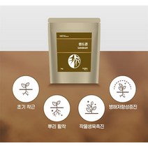 [우리농약농자재] 글로벌아그로 랜드콘입제(3kg) - 친환경 뿌리발근제 / 초기 착근 뿌리 활착 작물생육촉진 병해저항성증진, 1팩(3kg)
