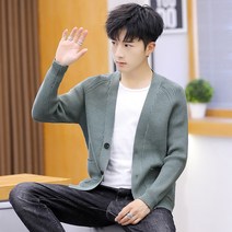 니트 스웨터 봄 가을스타일 남자 슬림 솔리드 무지 가을옷 아우터가디건 얇은 외 옷을 입다 털실 상의 3935884315