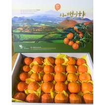 제주 카라향 선물용 5kg 10kg 고당도 서귀포 봄 귤 세진농원 사백일향, 사백일향(가정용) 5kg