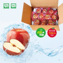 GAP 저탄소인증 당도선별 세척사과 중과2kg(9~10개입) 껍질째먹는사과/BFK