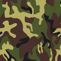 수전사 필름 카본 자동차 휠 물전송 Hydrodipping 필름 PVA 인쇄 레이저 딥 자동차 헬멧 오토바이 장식, 12 14_01 50x100cm, 1개