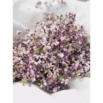 (제주산 수제) 제주의 향을 담은 벚꽃차 5g(제주 제주꽃차 벚꽃 제주벚꽃 벚꽃잎 벚꽃잎차), 원물형