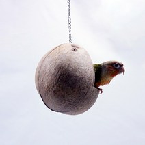 앵무새 포치 침대 둥지 알통 천연 야자수 코코넛
