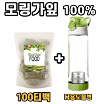 대용량 100% 모링가 열매 모링가잎 티백 차 100티백 다용도 티백 물통 텀블러 쿼세틴 커피대신 엽록체 엽록소 파이토케미칼 파이토케미컬 무기질