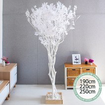 실내인테리어 인조나무 123종 / 플트 조화나무 C, C20.라인-화이트느티나무 220cmK/코너형, 1개
