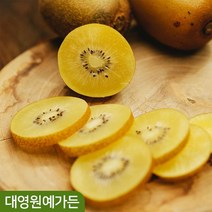 골드키위나무 키150cm 흙분 덩굴식물 열매, 키150cm 흙분 (포트/지주대제외)