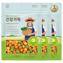 라이브잇 굿데이 강아지 건강가득 간식 300g, 연어 + 야채, 36개, 연어 + 야채