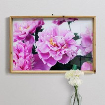 아트박스/꾸밈 ps361-우드프레임액자_부를부르는풍수작약꽃(대형)