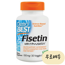 닥터스베스트 피세틴 100mg 베지 캡 30개입, 1개, 30정