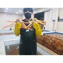 [산지직송 가성비 프로젝트] 포항 자숙 연지홍게 B품 6kg 22마리