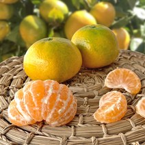 감귤 대과 2.5kg, 단품