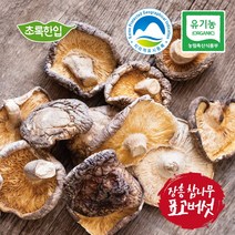 [초록한입] 국내산 유기농 건표고버섯 200g, DJ_ 1, DJ_ 본상품선택