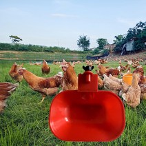 축사 닭 자동 급수기 자동급수장치 38 인치 치킨 워터 컵 채우기 피더 가금류 음주 그릇 Waterer 터키 암탉 조류 디스펜서