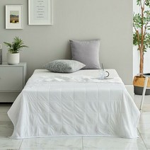 [모던하우스] 슈퍼쿨)다니엘 쿨링 매쉬 이불 150x200 화이트