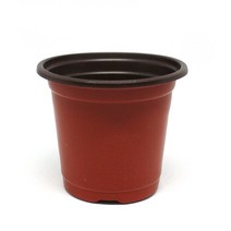 모종 화분 대파 새싹 보리 키우기 허브 콩나물 상추 M X10