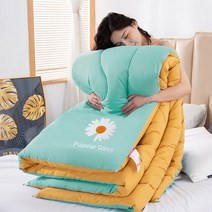 해외직구 먼지안나는 따뜻한 순 면 사계절 차렵 발열 이불 자취 원룸 투룸 오피스텔 고급 펜션 모텔 200 2000g ~ 4000g