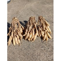 국산 담금주용 천문동 1kg, 1개