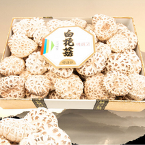 더해담 백화고 표고버섯 생표고 버섯선물세트 1호 500g 추석 명절 설 부모님 선물 답례, 단품, 단품