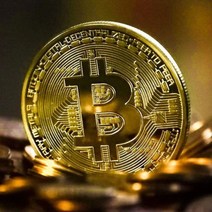 비트코인 기념주화 희귀동전 동전수집 골드 GS01