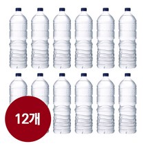 강원 평창수 무라벨 2L x 12개