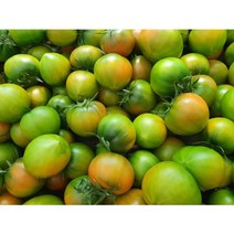 [산지직송]미식언니 토마토품평회수상 최상등급 상위5프로 대저 짭짤이토마토 2.5kg 로얄과, 상위5프로짭짤이 2.5kg 로얄과(s~2s)