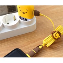 디즈니 썸썸 C타입 5핀 2in1 플랫케이블 꼬임방지 노트북 FLAT케이블 USB, 푸우