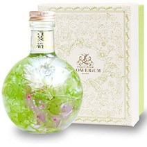 플라워리움 허바륨 꽃선물 2022년 신상품 기념일 생일 프리저브드플라워, green