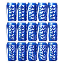 동아오츠카 포카리스웨트, 340ml, 15개