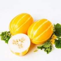 신선코리아 성주참외 산지배송 고급 선물용 참외4kg, 1, 본상품선택
