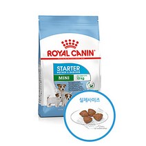 로얄캐닌 퍼피 미니스타터 마더 베이비독 애견사료 1kg+기능성껌2개, 단품