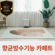 항균발수 DTP 도어스 러그 거실 카페트