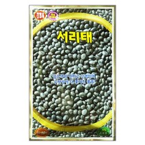 서리태콩 씨앗 콩씨 30g