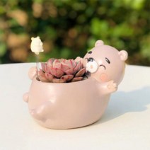 ROOGO 루고 화분 행복한 동물 일기 곰돌이