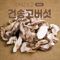 [나영이농원]국내산 무농약 건송고버섯 송고가루100g 송화버섯 송화고버섯 산지직송, 건송고버섯100g