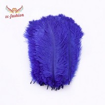 타조털먼지 먼지털이 자연의 아름다움 수입 15-60CM6-24 인치 타조 머리 염색 DIY 액세서리 단추 카니발 의상 액세서리 10 개, 25-30CM 10-12inch, Bao LAN