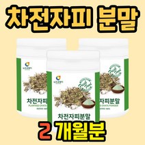 식이섬유 섬유질 화이바 섬유소 차전차피 식이섬유소 차전자피 가루 분말 질경이씨 차전피차 식이섬유제