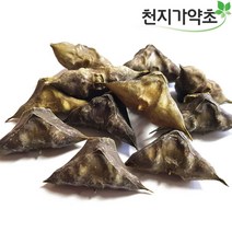 (롯데택배발송) 천지가약초 충남태안 햇 마름열매 500g 물밤 능실, 1개