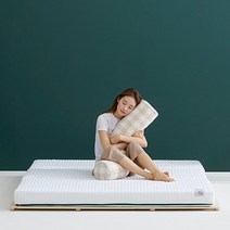 [더코이즈] 천연라텍스 죽부인/바디필로우 쿠션, 단품