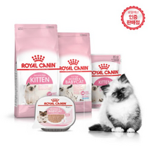 로얄캐닌 캣 키튼 400g/고양이사료 애묘사료, 키튼400g, 1개