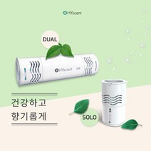 호흡기 안전한 하이센트 방향제 전용 디스펜서 솔로