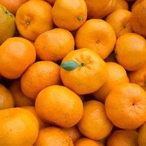 제주 비가림 왕귤 못난이 고당도 하우스 감귤 귤 5kg 10kg, 비가림 하우스 감귤(12brix 이상) 3kg