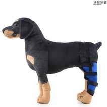 강아지슬개골보호대 반려동물용품 노견용 애견보호 관절 보조기구 고양이 무릎 기브스, L + C.블루 왼쪽 뒷다리개