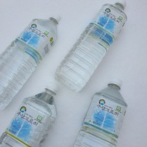 산지직송 신비의섬 청정울릉도 국산 토종 우산고로쇠 1.5리터 (6병/12병), 12병, 1.5L