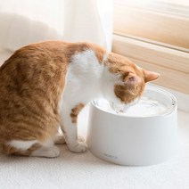 [스튜디오 알로티] 루미 펫테이블+유리볼 2구 M사이즈 강아지 고양이 식탁 수반 물그릇 밥그릇, 단품