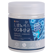 건강중심 L 람노서스GG 유산균, 2개, 250g